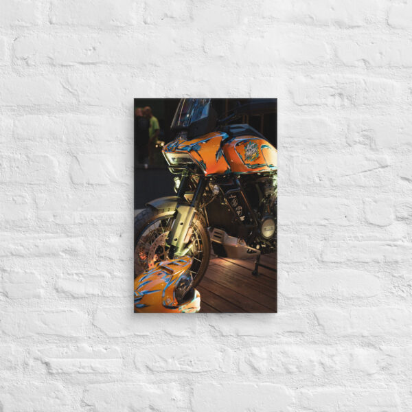 Raleigh Art Moto 2024