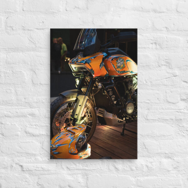 Raleigh Art Moto 2024