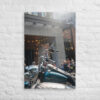 Harley Davidson Sunlight