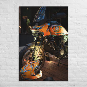 Raleigh Art Moto 2024